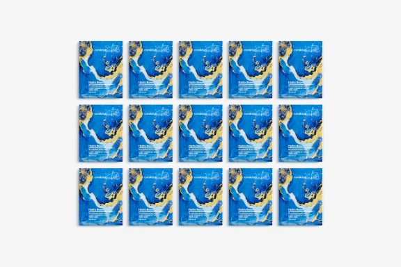 Hydro Boost Biocellulose Facial Mask